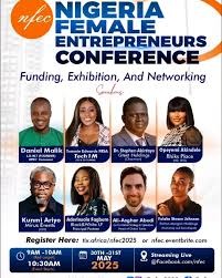 Nigeria Female Entrepreneurs