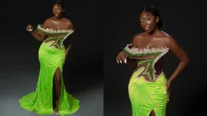 11+ Material Gown Styles for Women